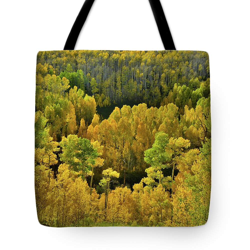 Wilson Mesa Tote Bag featuring the photograph Beautiful Fall Colors at Woods Lake State Wildlife Area by Ray Mathis