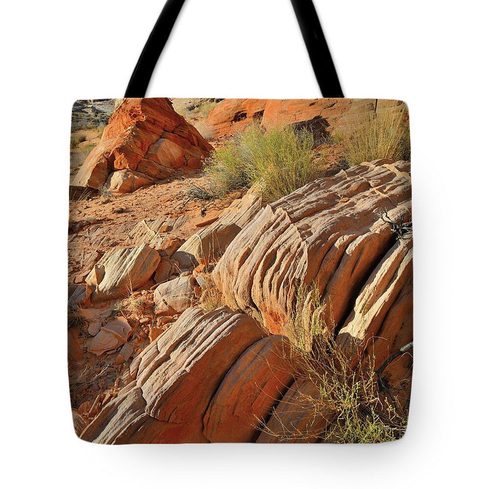 Valley Of Fire State Park Tote Bag featuring the photograph Beautiful Sandstone Cove in Valley of Fire by Ray Mathis
