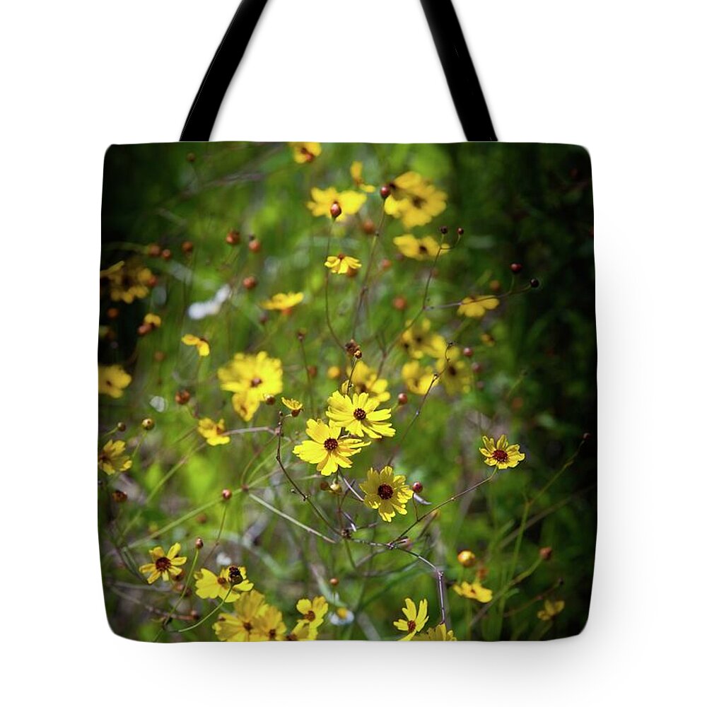 Flower Tote Bag featuring the photograph Beautiful Tickseed Flowers by T Lynn Dodsworth