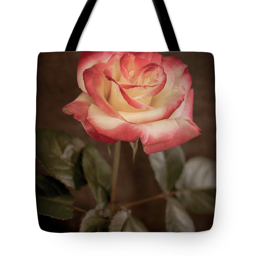 Rose Tote Bag featuring the photograph Beauty in Bloom by TL Wilson Photography by Teresa Wilson