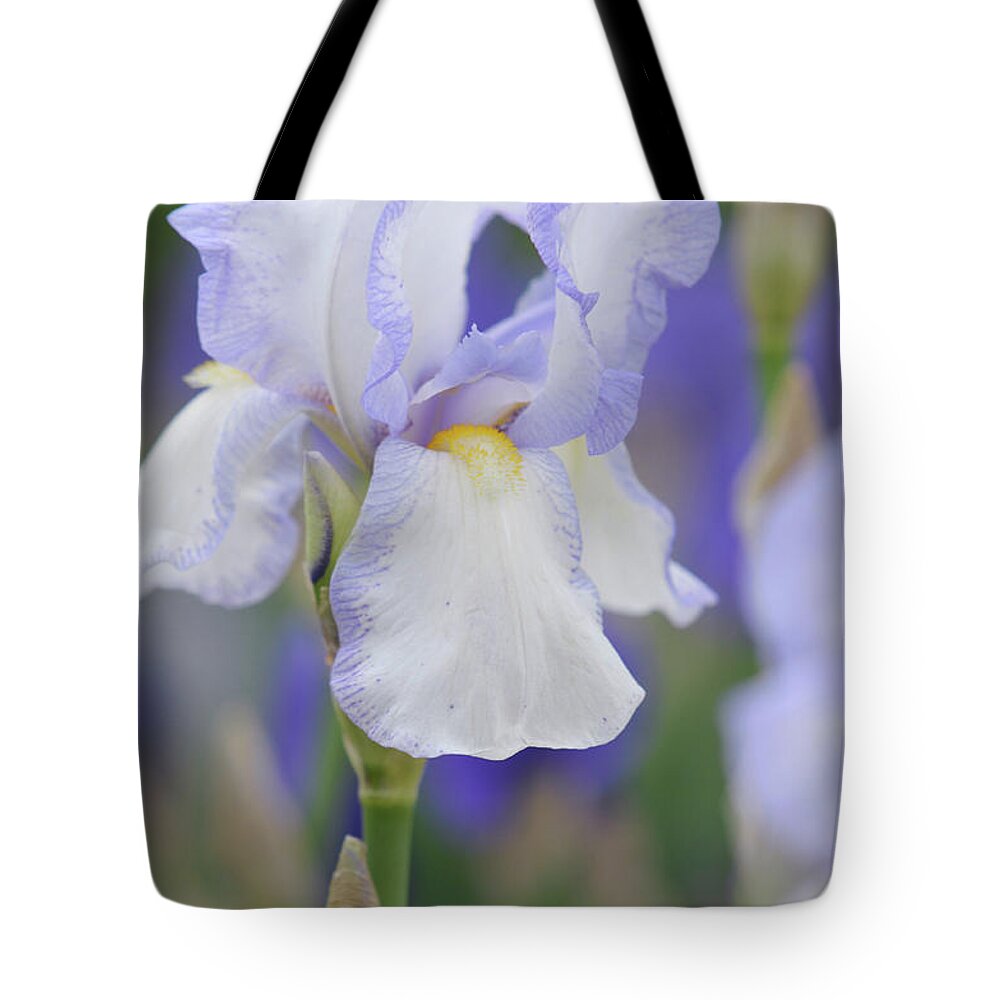 Jenny Rainbow Fine Art Photography Tote Bag featuring the photograph Beauty of Irises. Rheinfels 1 by Jenny Rainbow