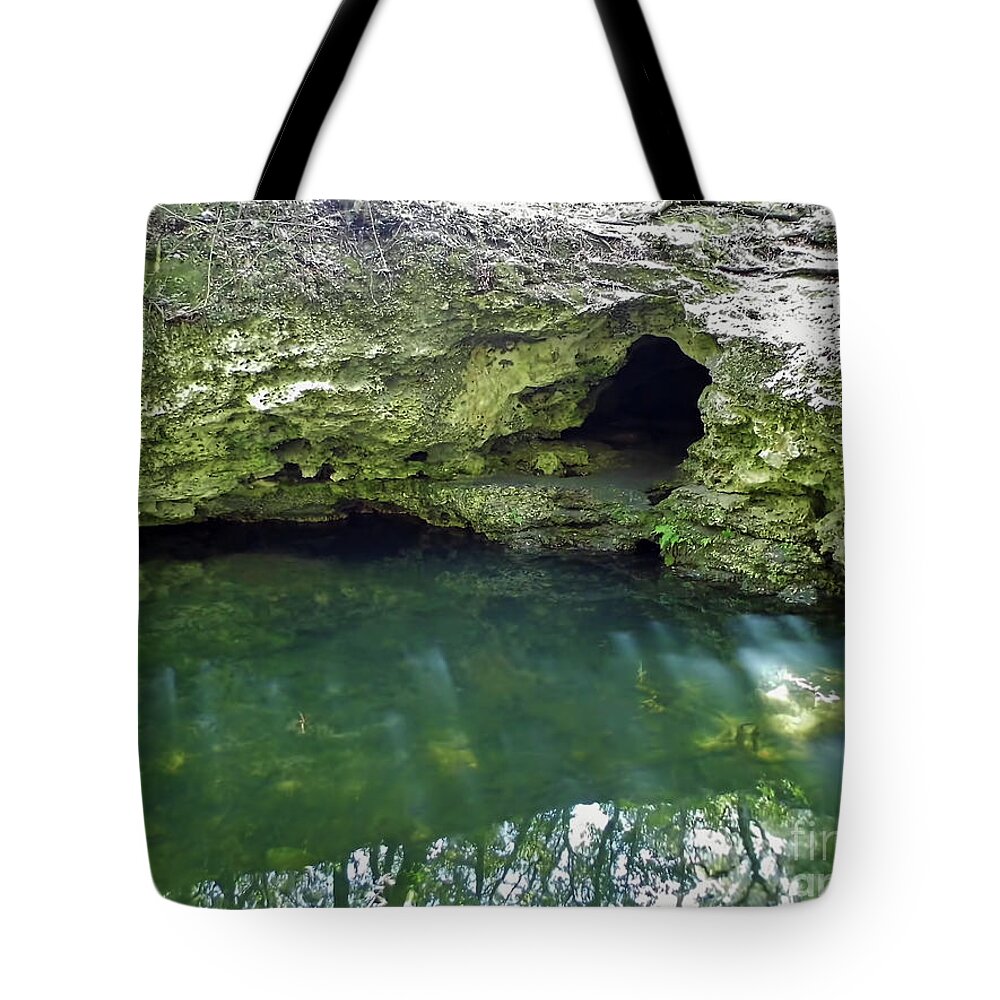 Grotto Tote Bag featuring the photograph Beauty Of The Grotto by D Hackett