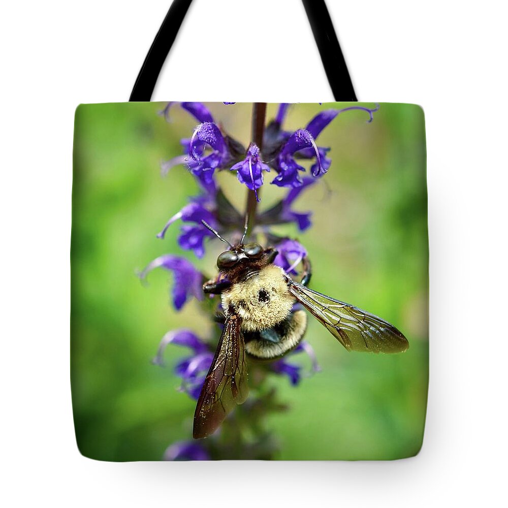 Bumblebee Tote Bag featuring the photograph Bee Free by Shannon Kelly