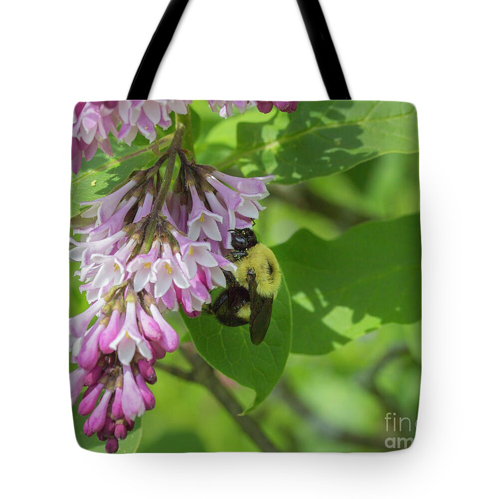 Boston Tote Bag featuring the photograph Bee on a lilac by Agnes Caruso