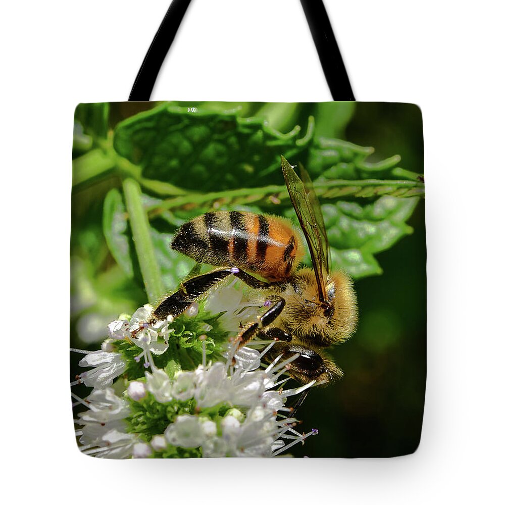 Linda Brody Tote Bag featuring the photograph Bee on Blooming White Spike Flowers 3 by Linda Brody