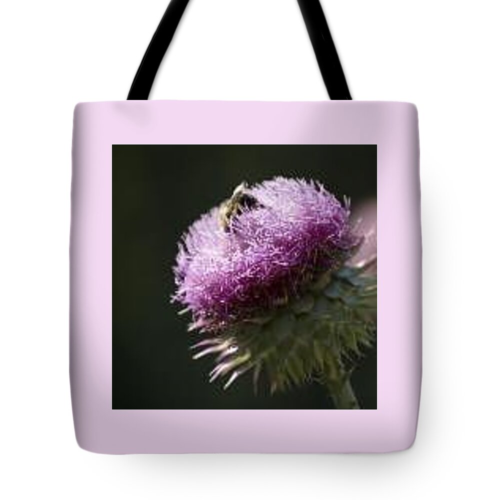 Bee Tote Bag featuring the photograph Bee On Thistle by Nancy Ayanna Wyatt