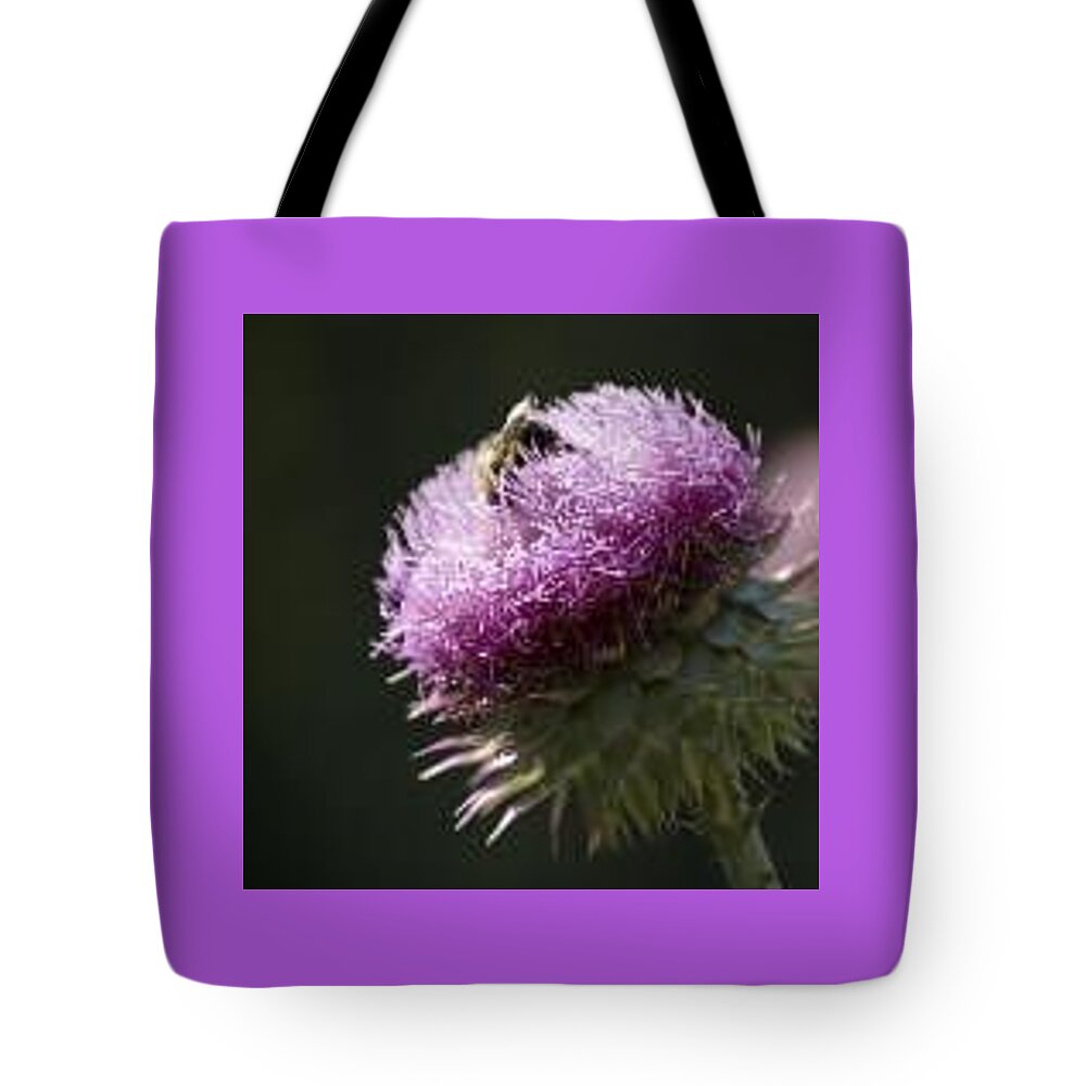 Bee Tote Bag featuring the photograph Bee On Thistle by Nancy Ayanna Wyatt