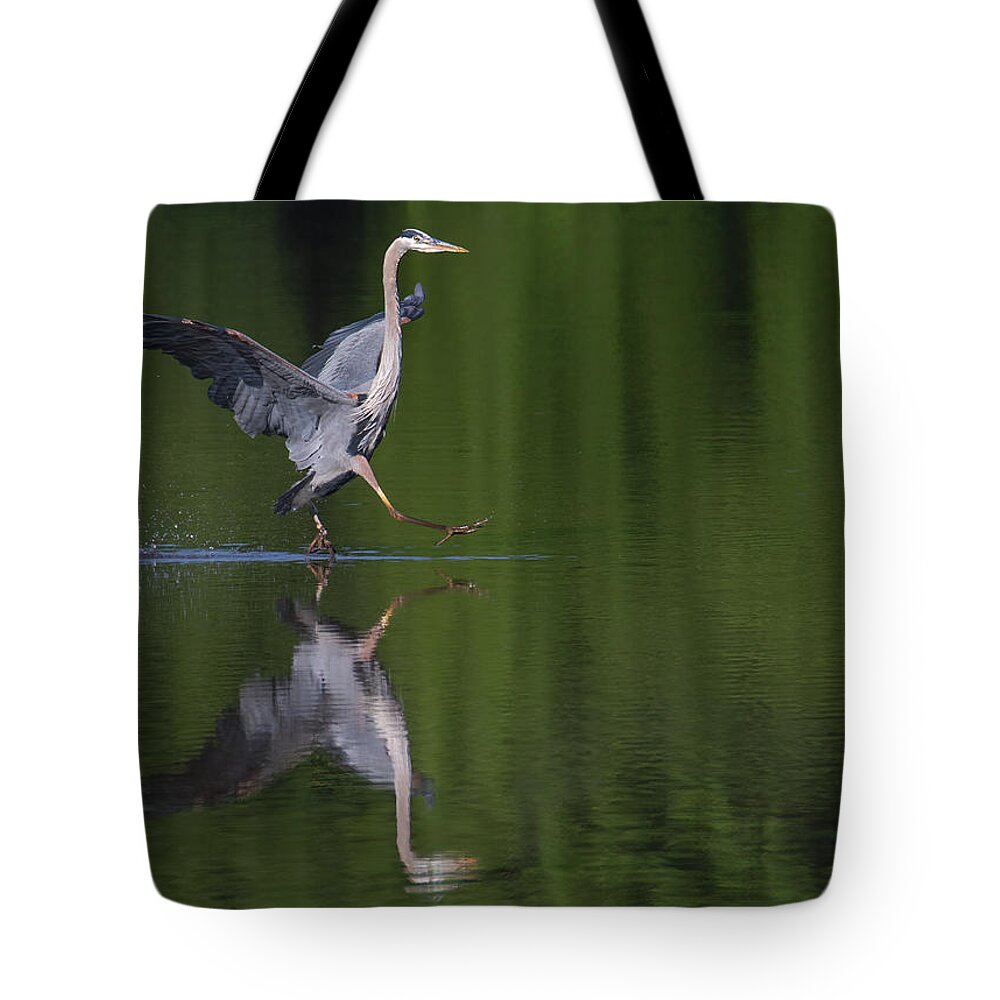 Great Blue Heron Tote Bag featuring the photograph Beep Beep by Art Cole