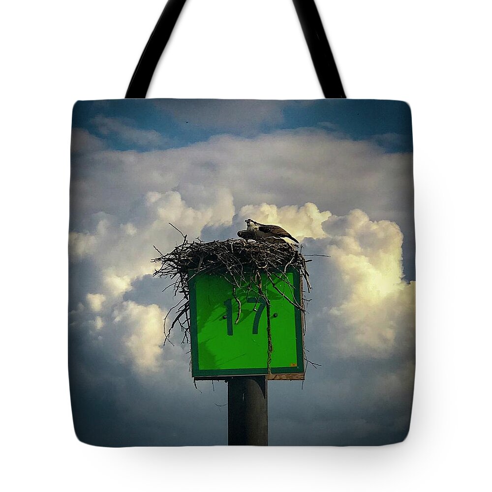 Osprey Tote Bag featuring the photograph Before the Storm by Lora J Wilson