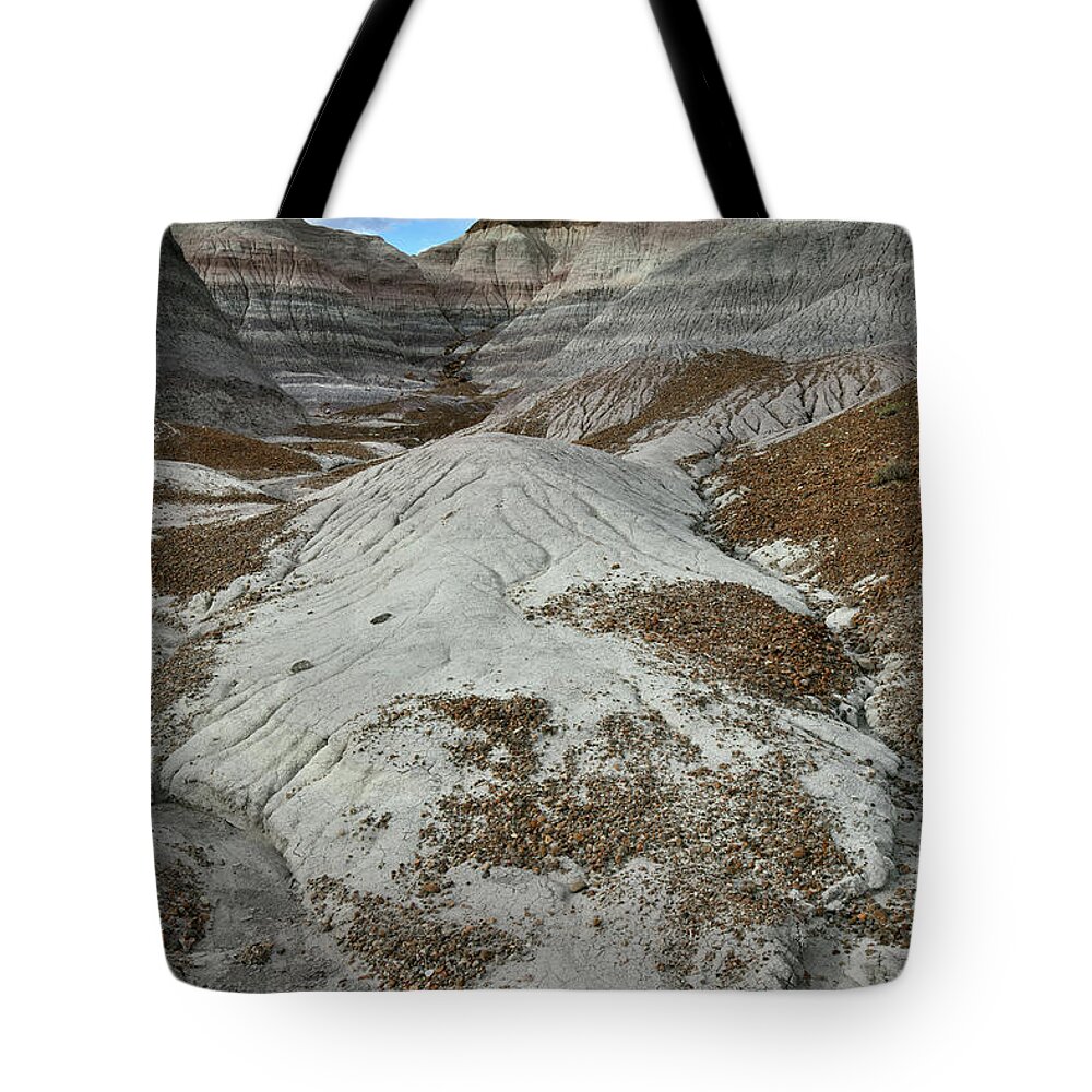 Petrified Forest National Park Tote Bag featuring the photograph Bentonite Dunes of Blue Mesa by Ray Mathis