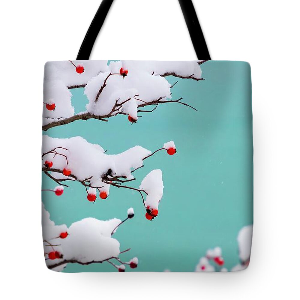 Turquoise Tote Bag featuring the photograph Berries and Cream by Terri Hart-Ellis