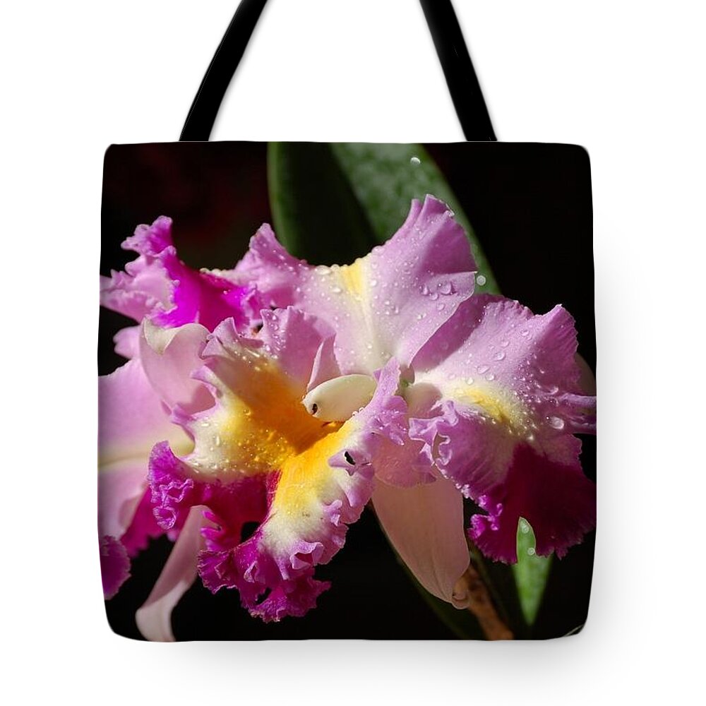Orchid Tote Bag featuring the photograph Best Cattleya by Nancy Ayanna Wyatt
