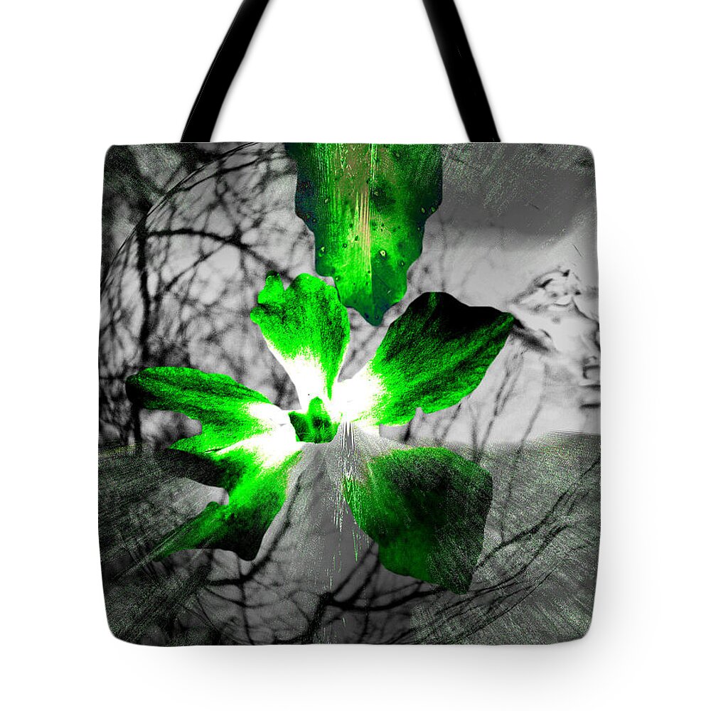 #abstracts #acrylic #artgallery # #artist #artnews # #artwork # #callforart #callforentries #colour #creative # #paint #painting #paintings #photograph #photography #photoshoot #photoshop #photoshopped Tote Bag featuring the digital art Beyond The Horizon Part 33 by The Lovelock experience