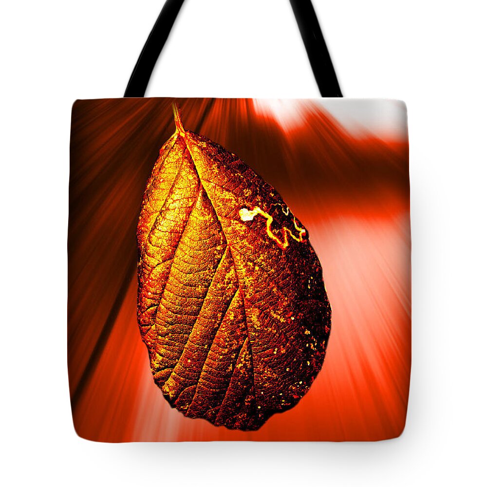 #abstracts #acrylic #artgallery # #artist #artnews # #artwork # #callforart #callforentries #colour #creative # #paint #painting #paintings #photograph #photography #photoshoot #photoshop #photoshopped Tote Bag featuring the digital art Beyond The Horizon Part 81 by The Lovelock experience