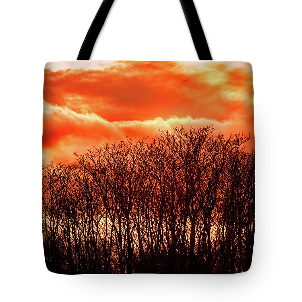 Sunset Tote Bag featuring the photograph BHRP Sunset by Don Johnson