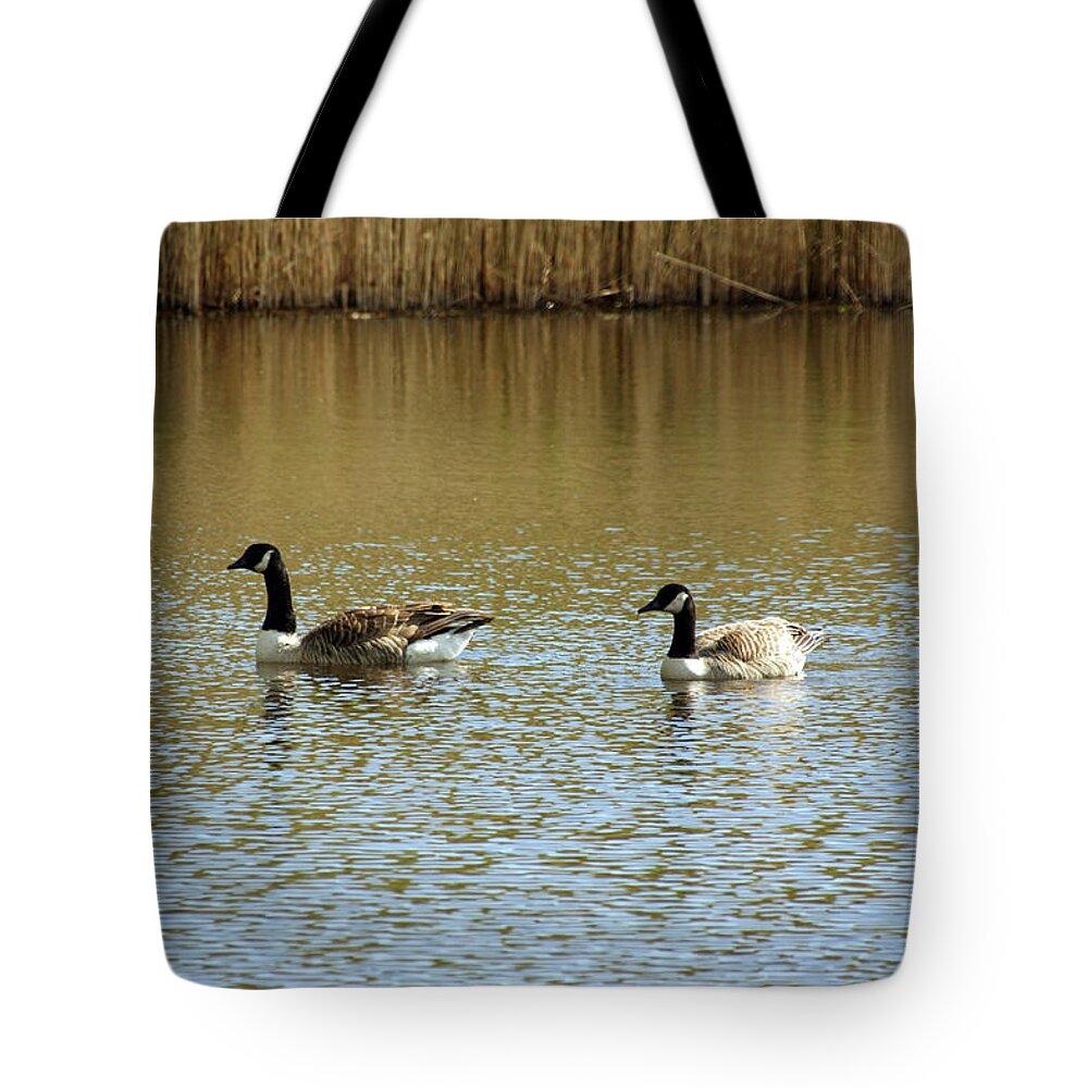 Wirral Tote Bag featuring the photograph  BIDSTON. Bidston Moss Wildlife Reserve. Two Geese. by Lachlan Main