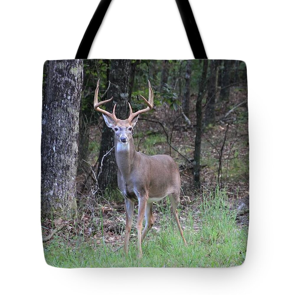 Big Buck Tote Bag featuring the photograph Big Buck by Jerry Battle