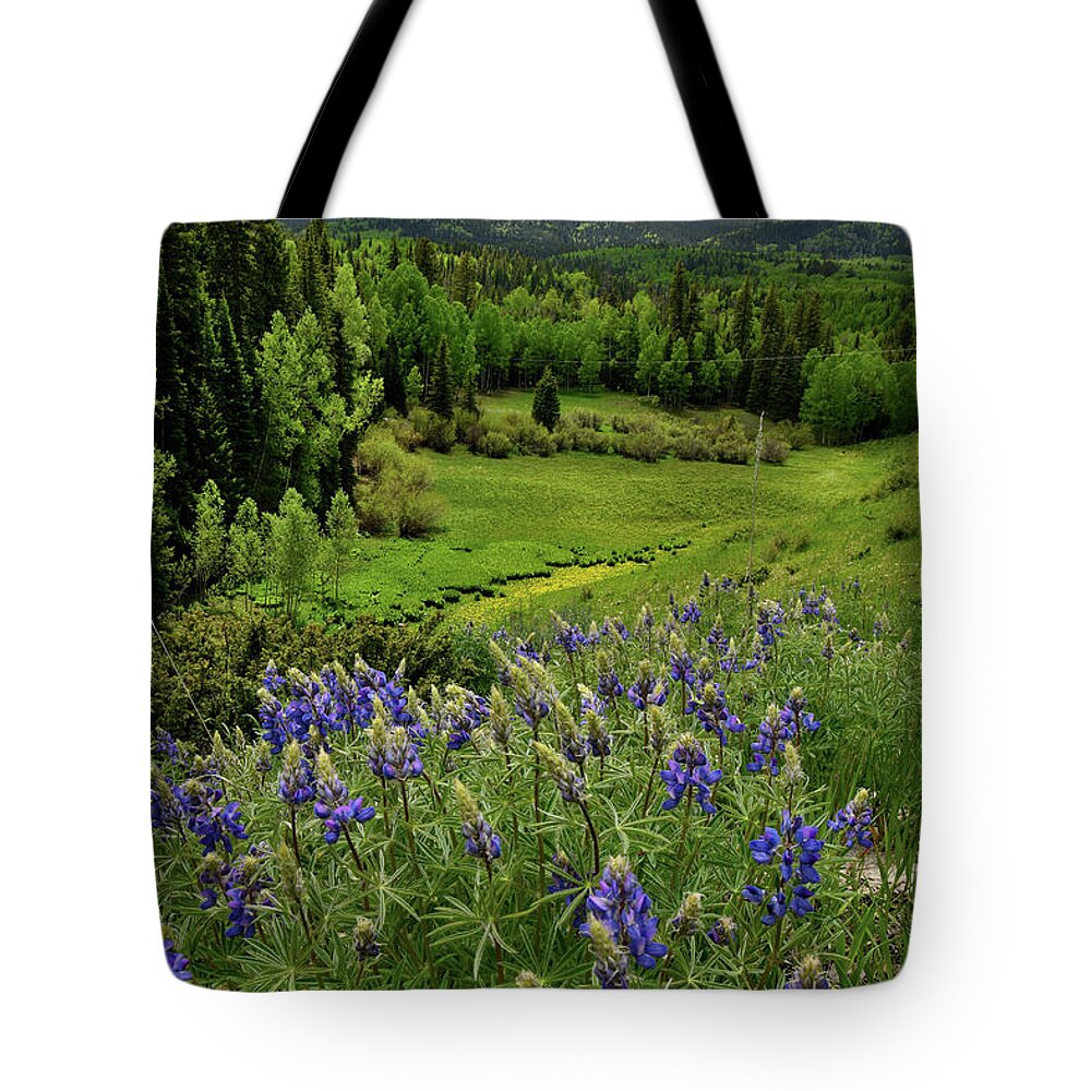 Highway 50 Tote Bag featuring the photograph Big Cimarron Lupine by Ray Mathis