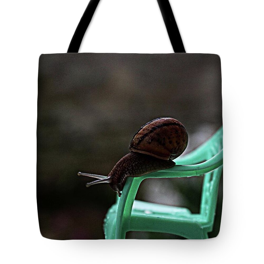 Snail Tote Bag featuring the photograph Big snail,Little chair by Martin Smith