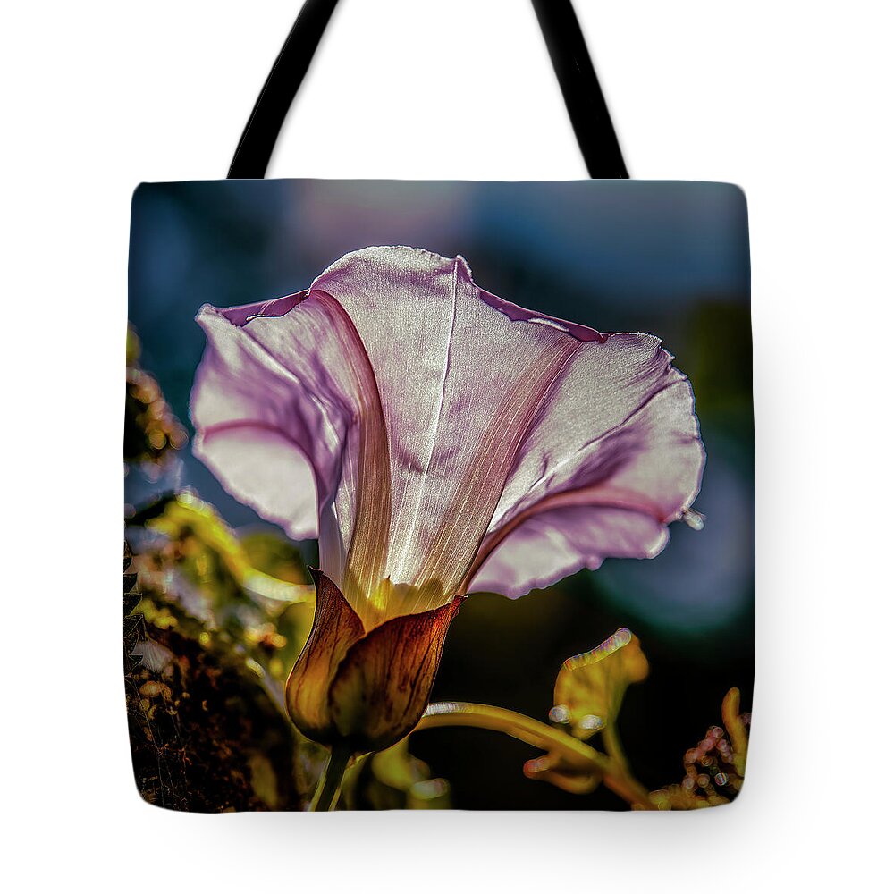 Bindweed In Light Tote Bag featuring the photograph Bindweed in light #i9 by Leif Sohlman