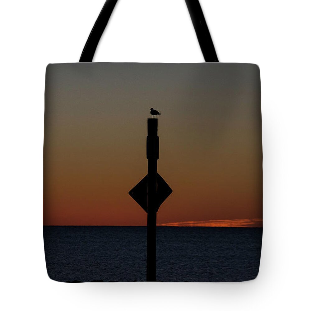 Sunrise Tote Bag featuring the photograph Bird Awaits Sunrise by Valerie Cason