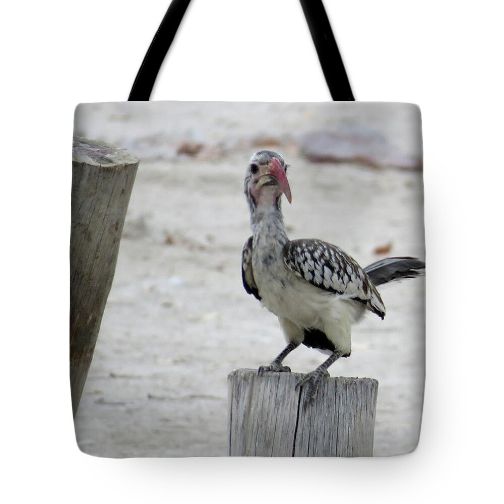 Bird Tote Bag featuring the photograph Bird by Eric Pengelly
