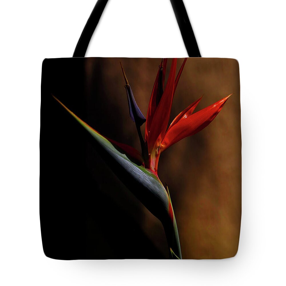 Bird Of Paradise Tote Bag featuring the photograph Bird Of Paradise by Kandy Hurley