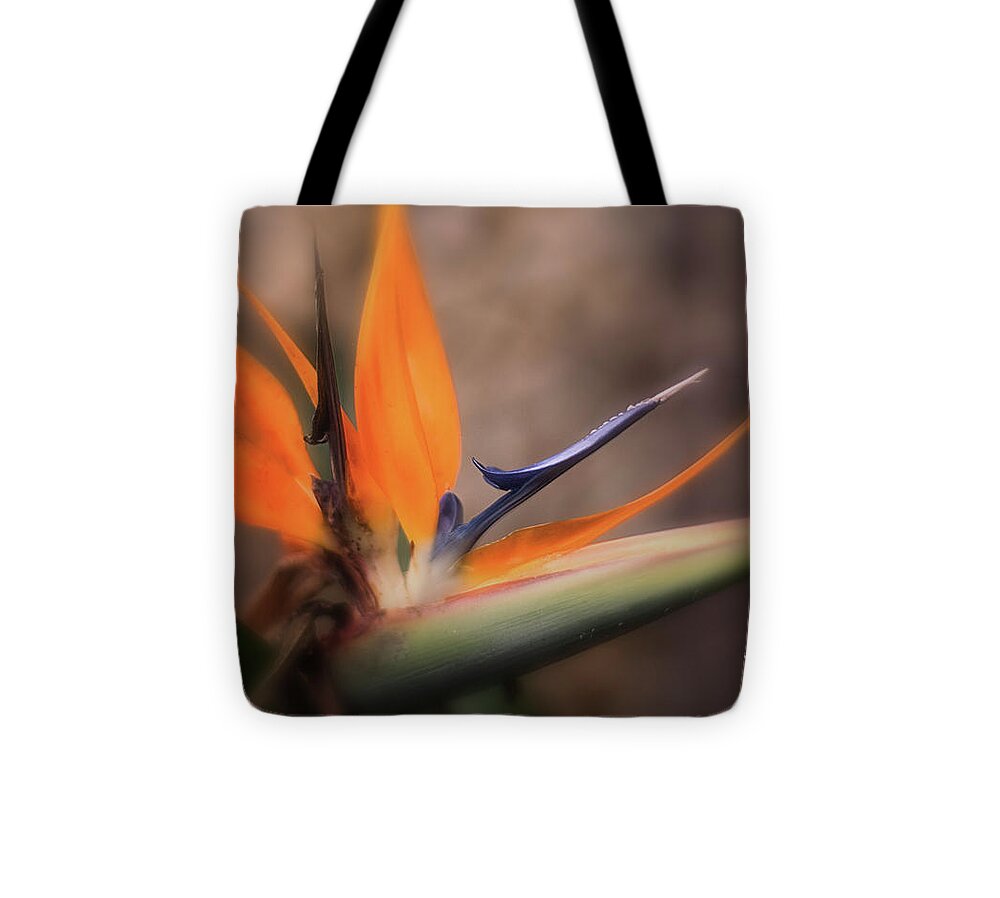 Bird Of Paradise Tote Bag featuring the photograph Bird Of Paradise by Mary Lou Chmura