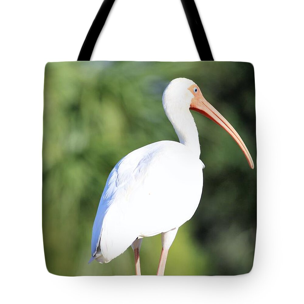 Bird Tote Bag featuring the photograph Bird Of Paradise by Philip And Robbie Bracco