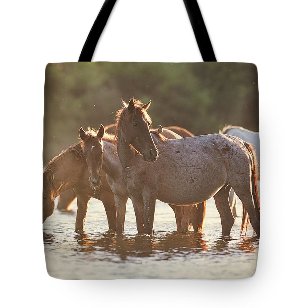 Salt River Wild Horses Tote Bag featuring the photograph Bird on a Horse by Shannon Hastings