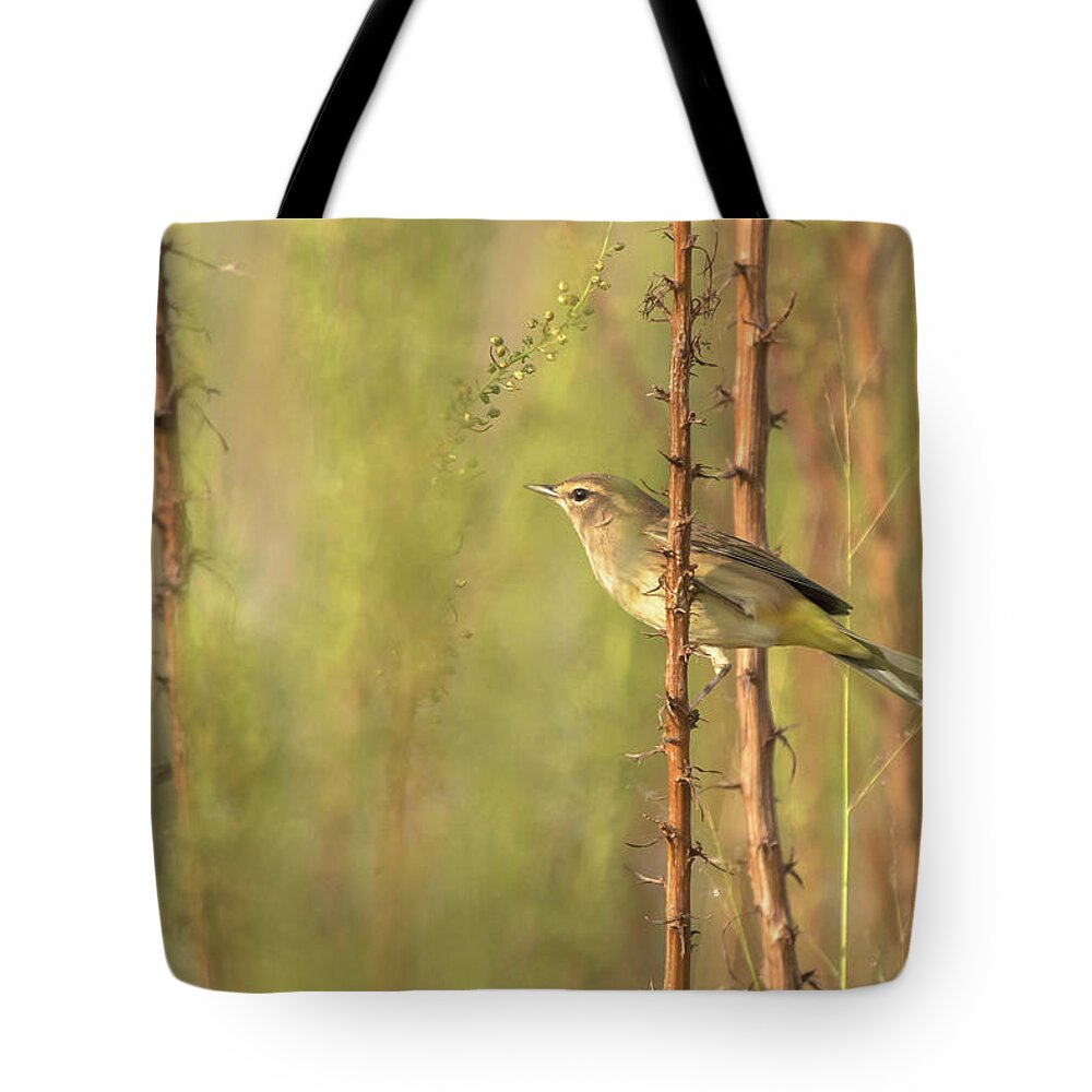 Palm Warbler Tote Bag featuring the photograph Bird on Branch by Dorothy Cunningham