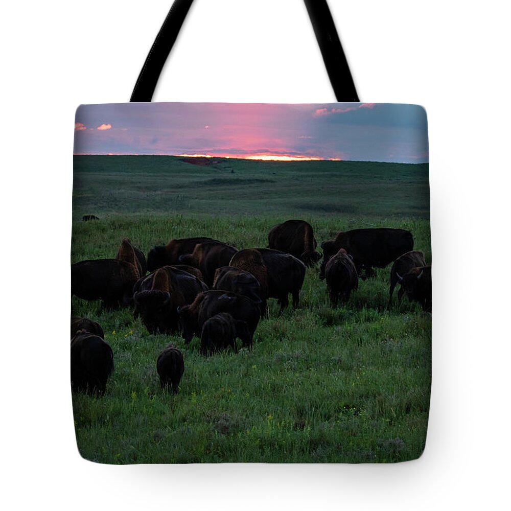 Jay Stockhaus Tote Bag featuring the photograph Bison at Sunset by Jay Stockhaus