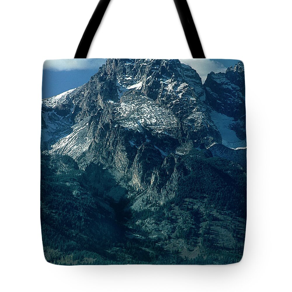 Dave Welling Tote Bag featuring the photograph Bison Below The Tetons Grand Tetons Np Wyoming by Dave Welling
