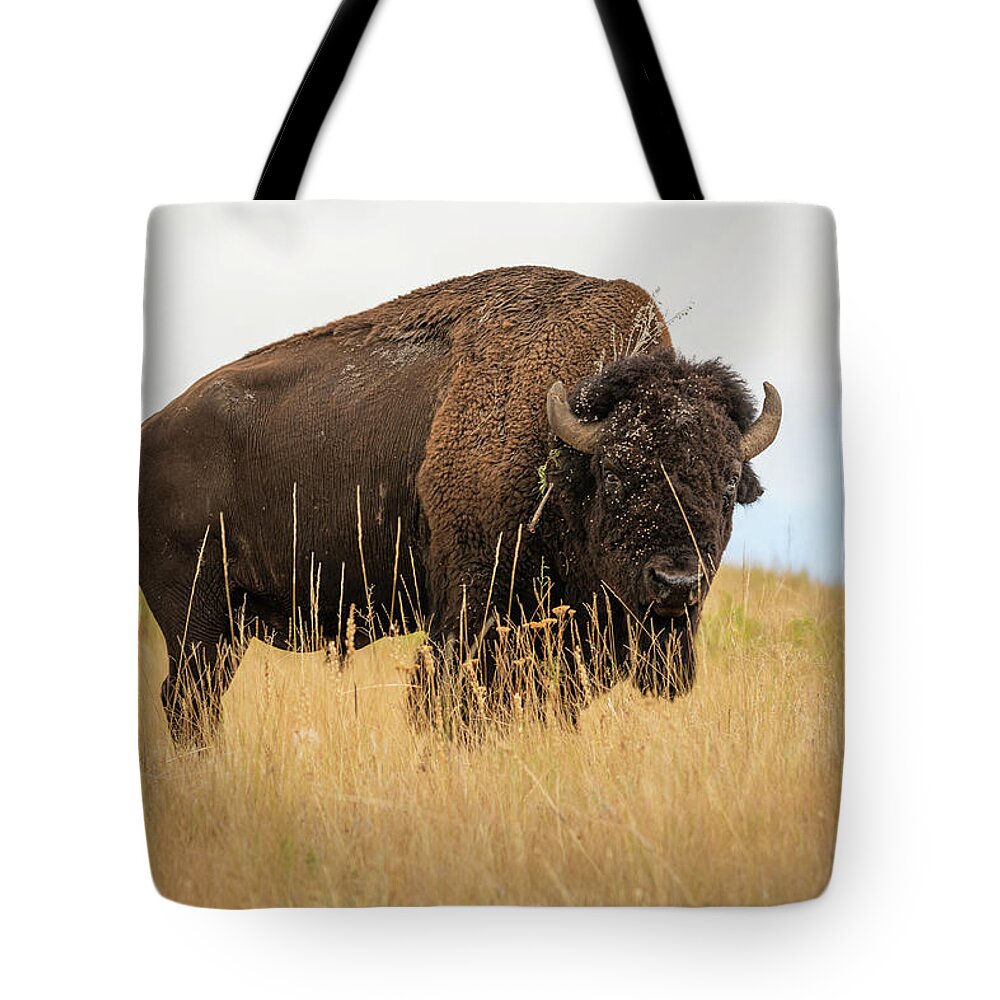 Photography Tote Bag featuring the photograph Bison by Constance Puttkemery