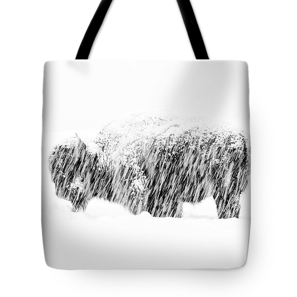 American Bison Tote Bag featuring the photograph Bison in Painted Snow by Max Waugh