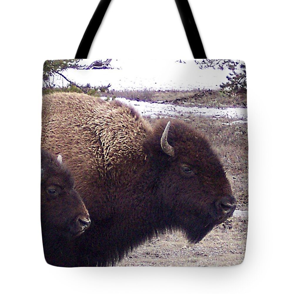 Yellowstone Tote Bag featuring the photograph Bison Mother and Calf by Enaid Silverwolf