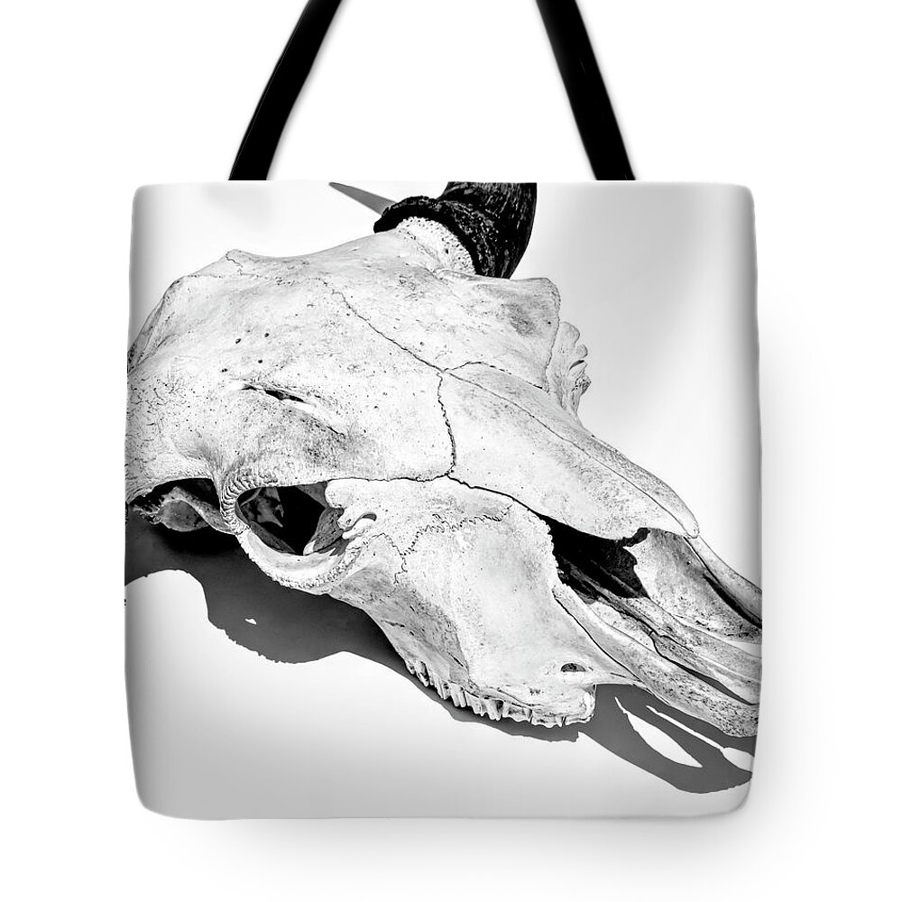 Kansas Tote Bag featuring the photograph Bison Skull 002 by Rob Graham