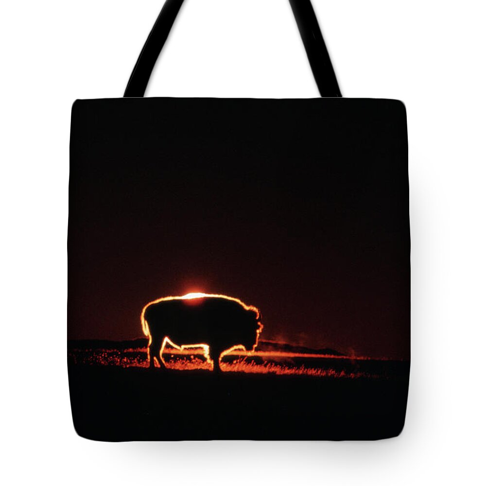 Dramatic Landscape Tote Bag featuring the photograph Bison Slhouetted At Sunrise by Mark Newman
