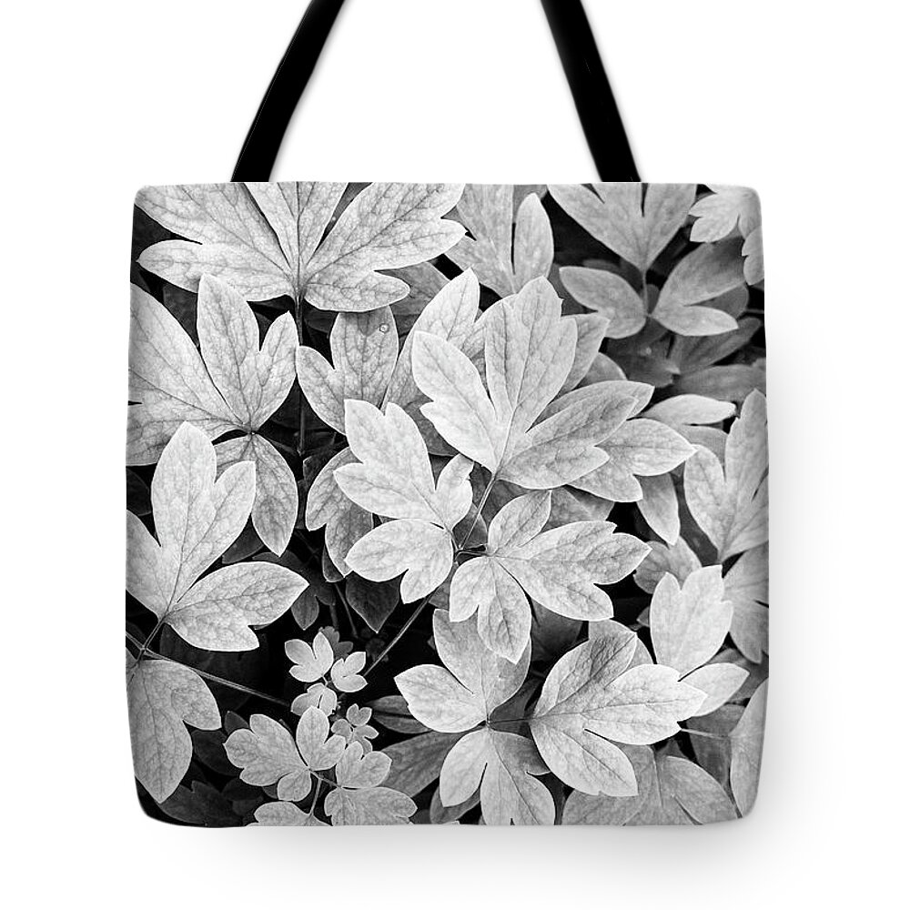 Black And White Tote Bag featuring the photograph Black And White Abstract Leaves by Christina Rollo