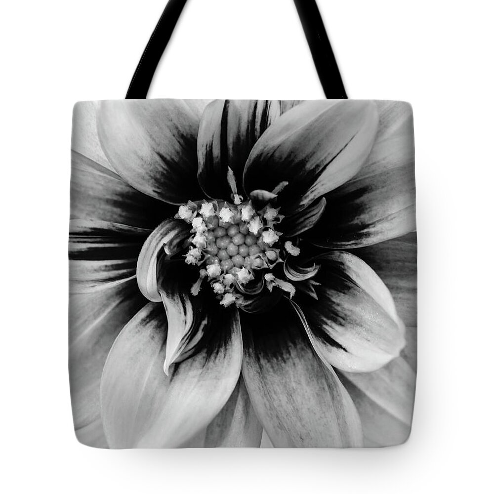 Black & White Tote Bag featuring the photograph Black and White Dahlia by Louis Dallara