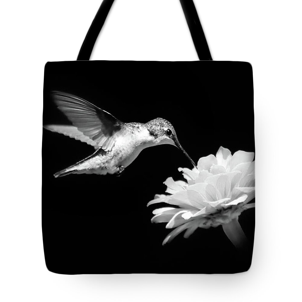 Hummingbird Tote Bag featuring the photograph Black and White Hummingbird and Flower by Christina Rollo