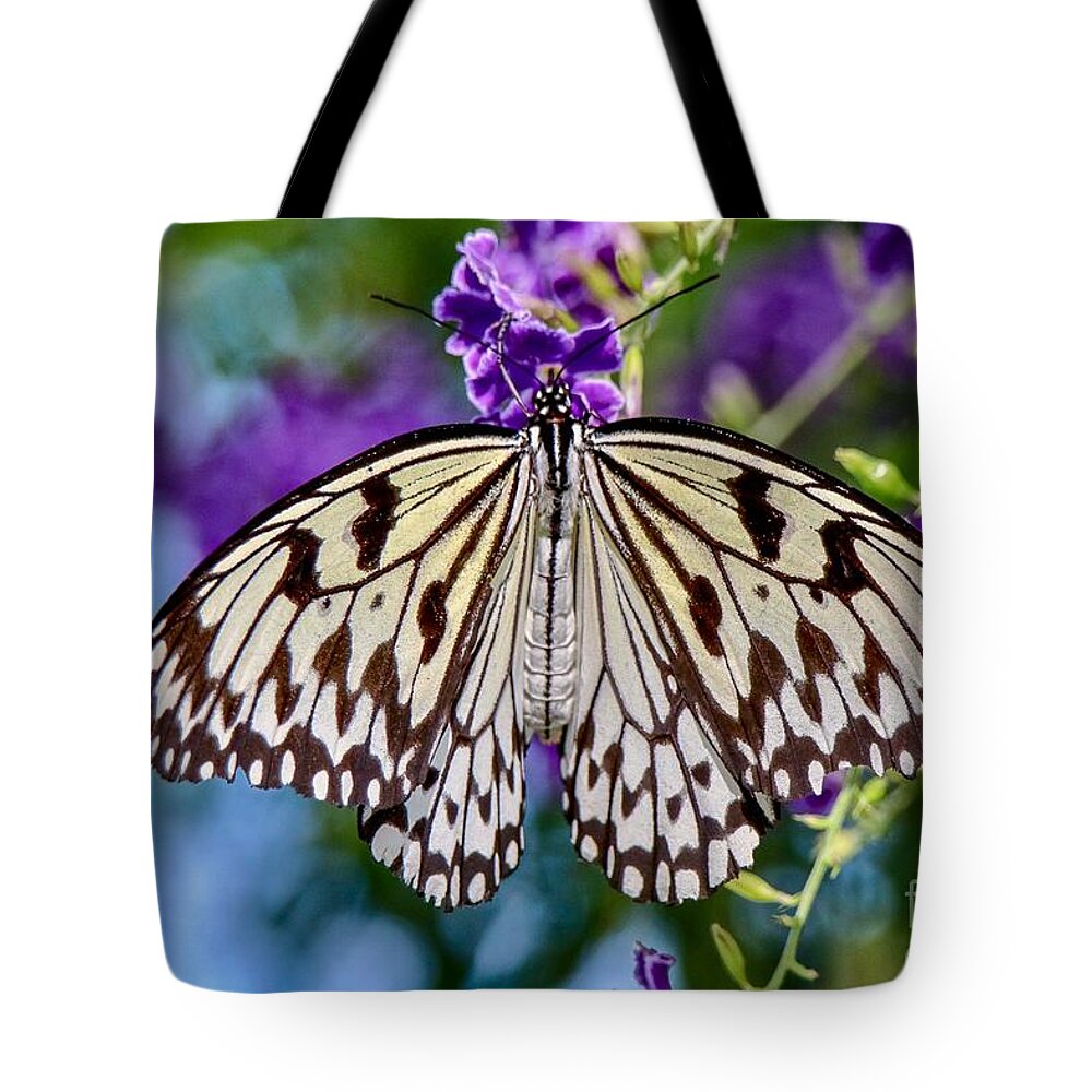Closeup Tote Bag featuring the photograph Black and White Paper Kite Butterfly by Susan Rydberg