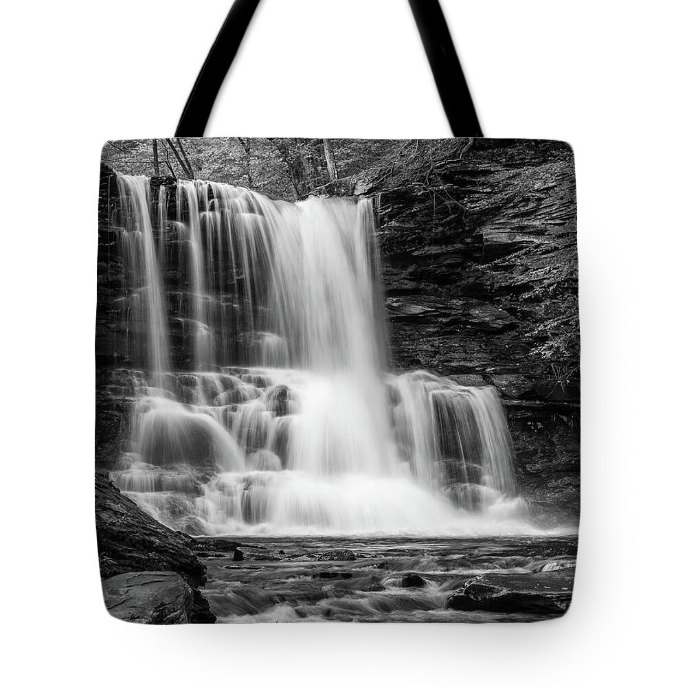 Nature Tote Bag featuring the photograph Black and White Photo of Sheldon Reynolds Waterfalls by Louis Dallara