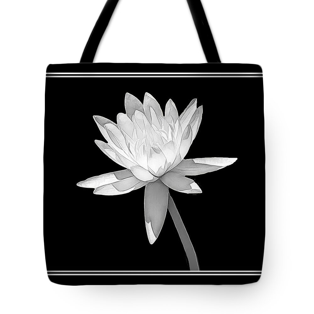 Water Lily Tote Bag featuring the photograph Black and White Water Lily by Rosalie Scanlon