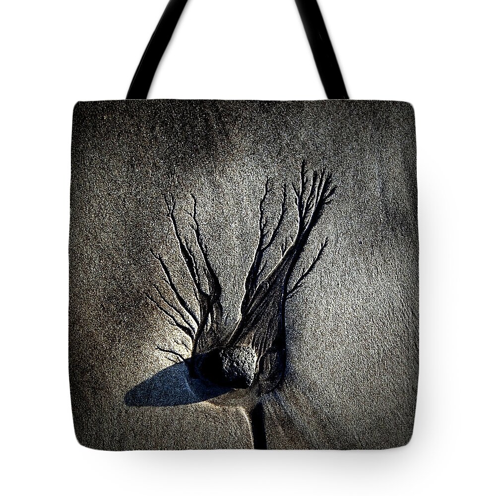 Outdoors Tote Bag featuring the photograph Black Beach And A Stone by Johann S. Karlsson