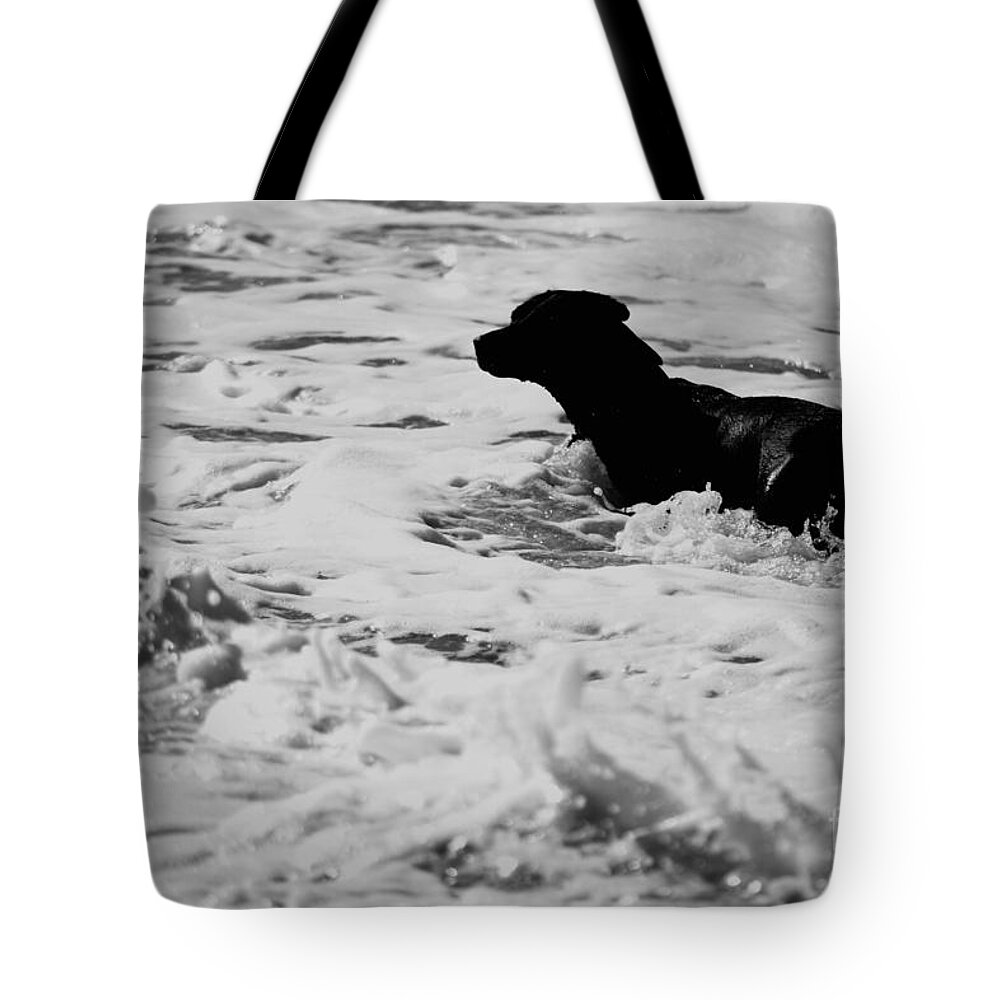 Dog Tote Bag featuring the photograph Surfer's Black Dog by Debra Banks