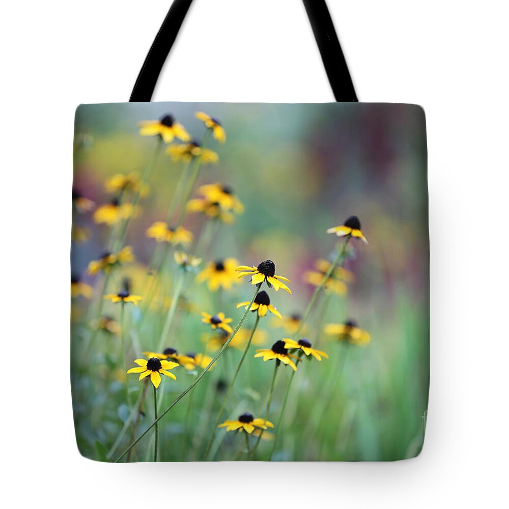 Black-eyed Susans Tote Bag featuring the photograph Black-eyed Susans in Williamsburg by Lara Morrison