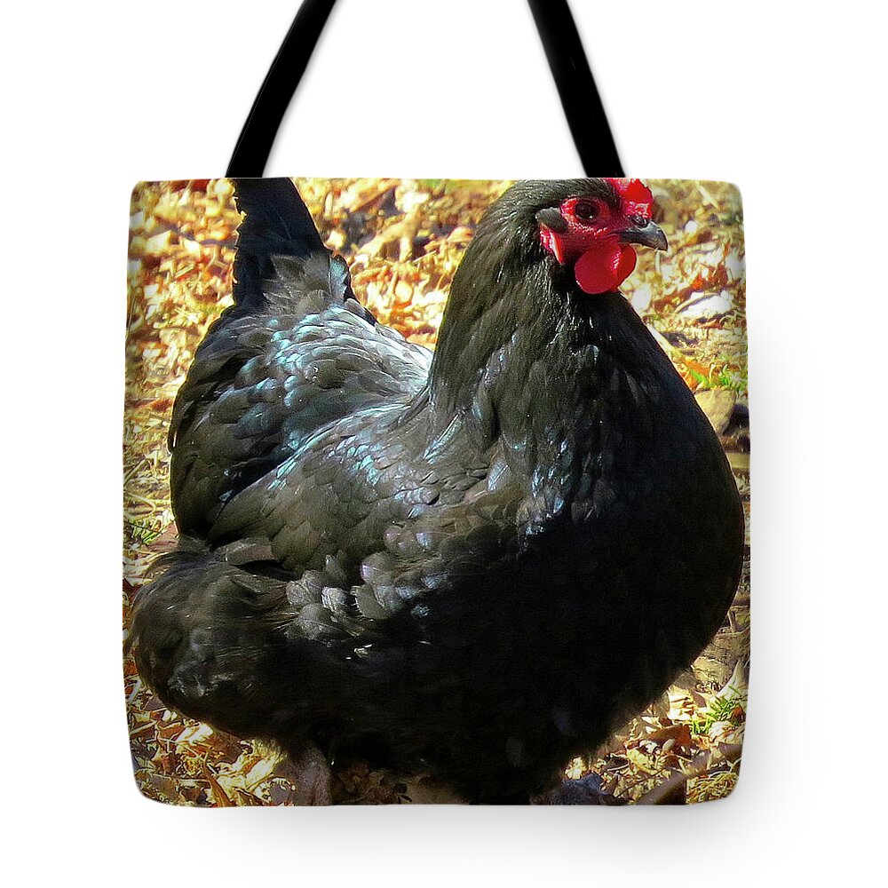 Black Chickens Tote Bag featuring the photograph Black Jersey Giant by Linda Stern