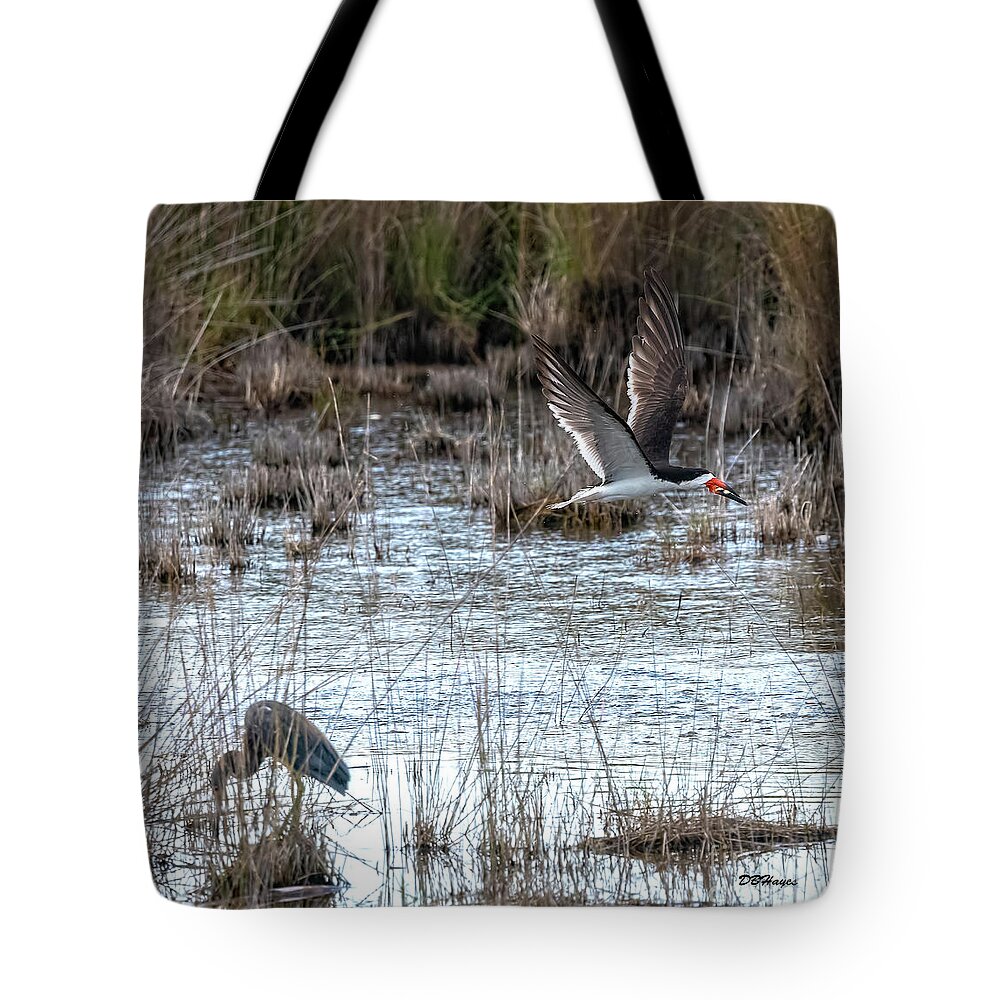 Birds Tote Bag featuring the photograph Black Skimmer Triumphs Close Up by DB Hayes