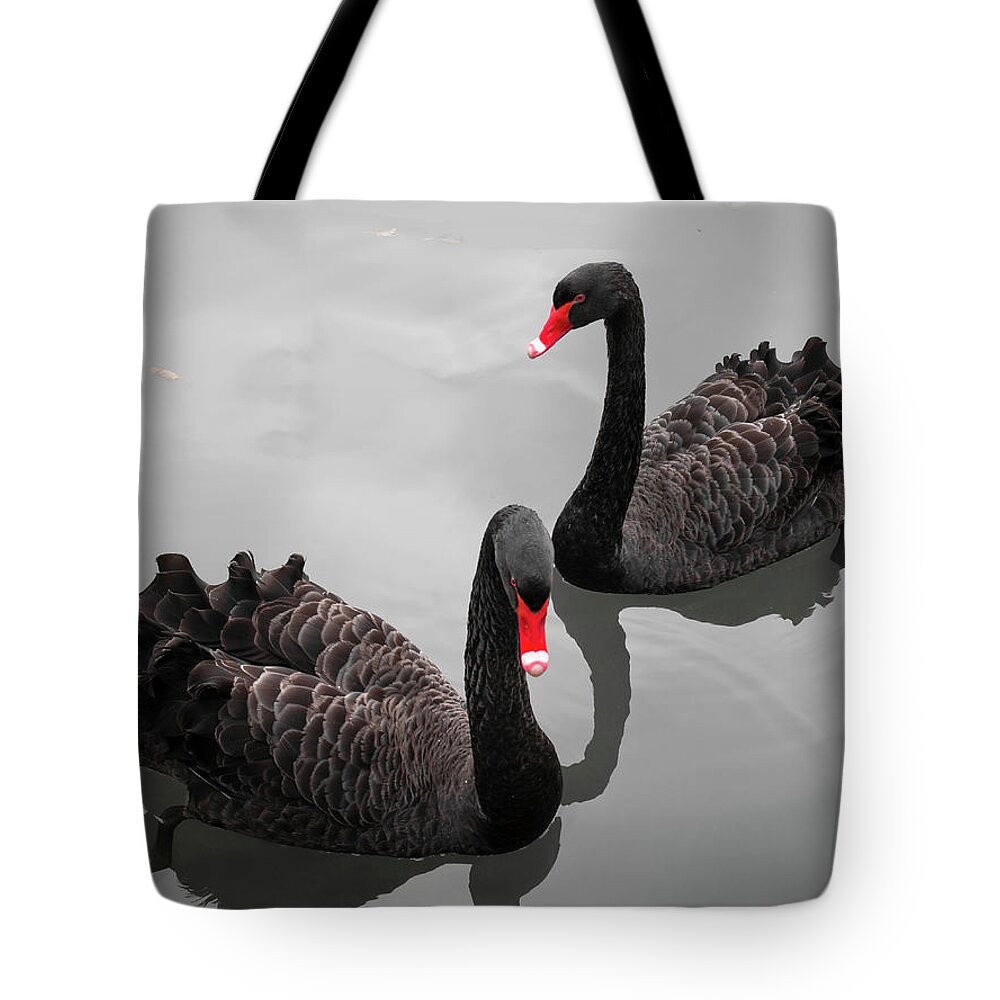 Animal Themes Tote Bag featuring the photograph Black Swan by Bert Kaufmann Photography
